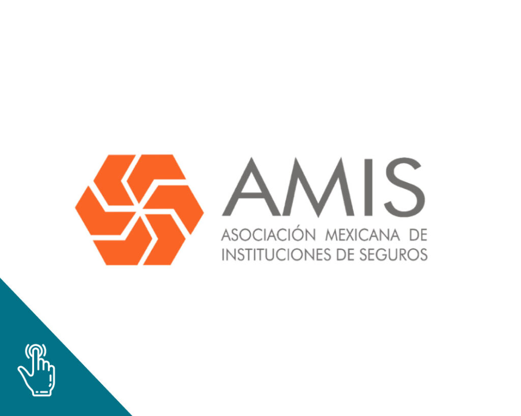 portada con logo de AMIS